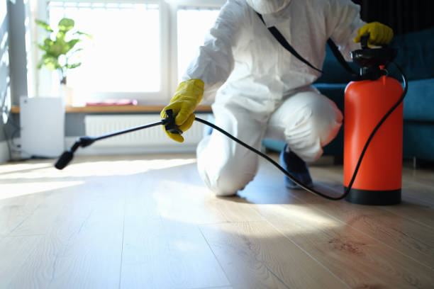 Reliable Odor Removal contractor in Springville, VA by Trauma Clean Pros